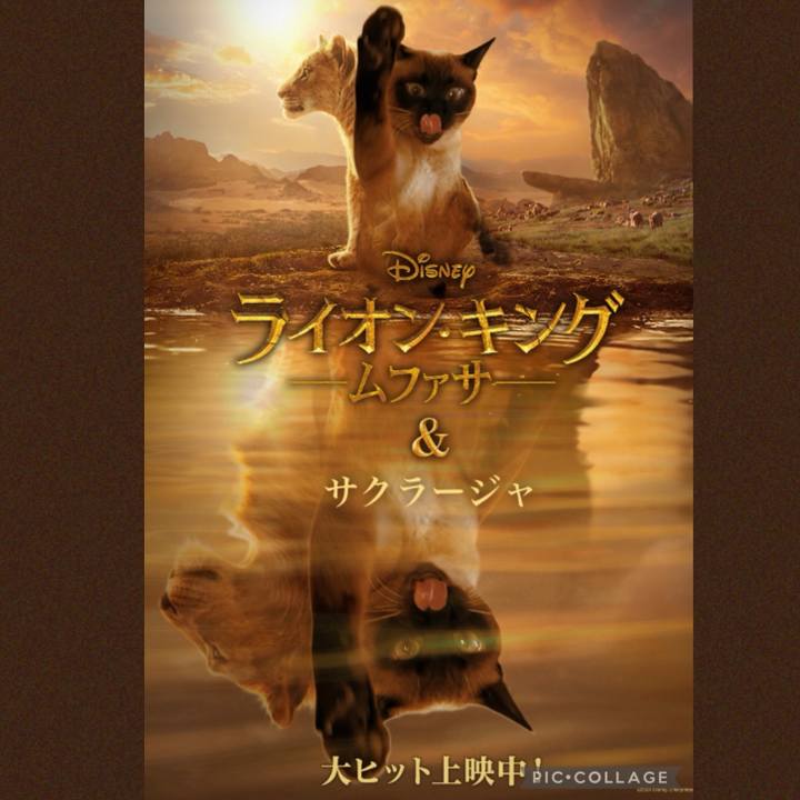 Bc3aaa0c 3d52 4c85 b127 3504380108c6 1734954188553