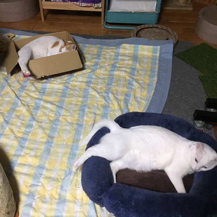 Bc3ab11c e294 4466 80ec 851e72d0e2a9 1538223003416