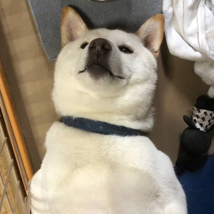 Bc3abc6f 0d48 4209 a116 533bf31ee984 1566439354585