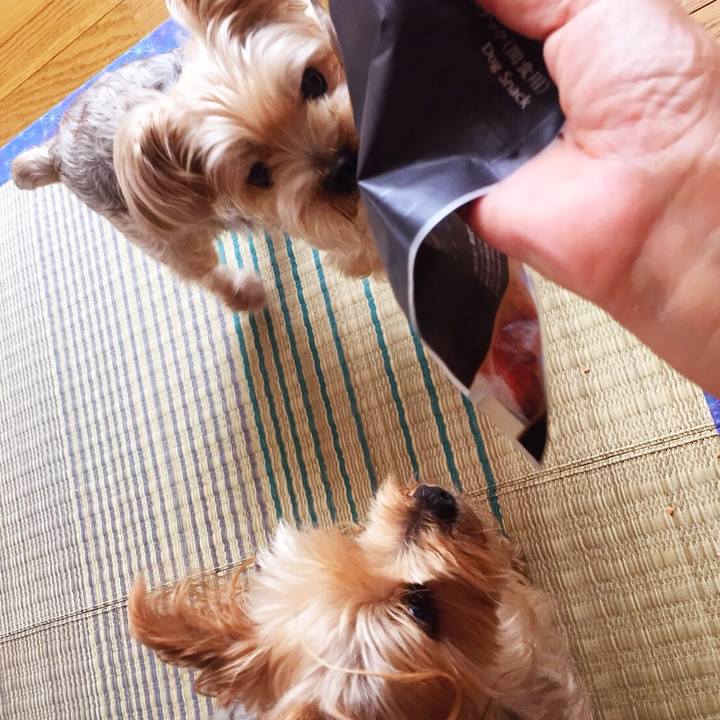 Bc3acb1e 3119 4957 9184 960c113f122d 1535250449151