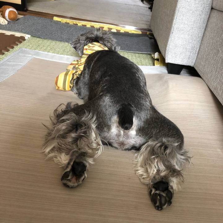 Bc3b4055 4f57 48d1 ad70 cb18fcef91f2 1656209722957