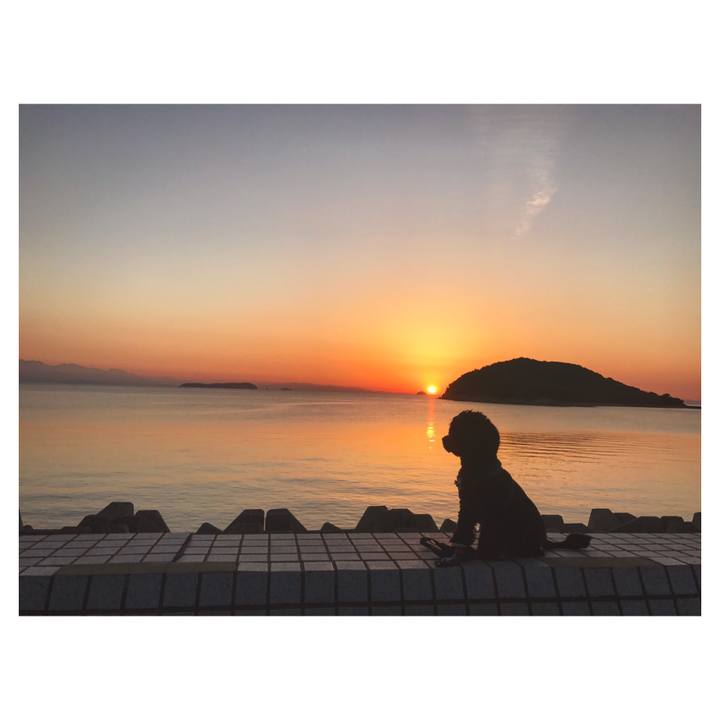 Bc3b655d 9ed4 46bb acf3 1002f099e178 1540122411323