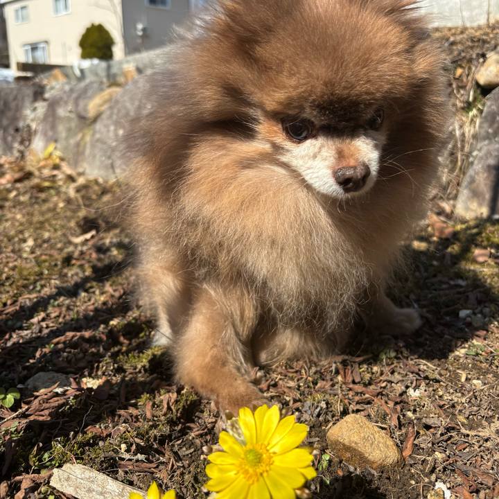 Bc3b8d48 41dc 4d05 9f69 2d8596ba18a0 1774402742861