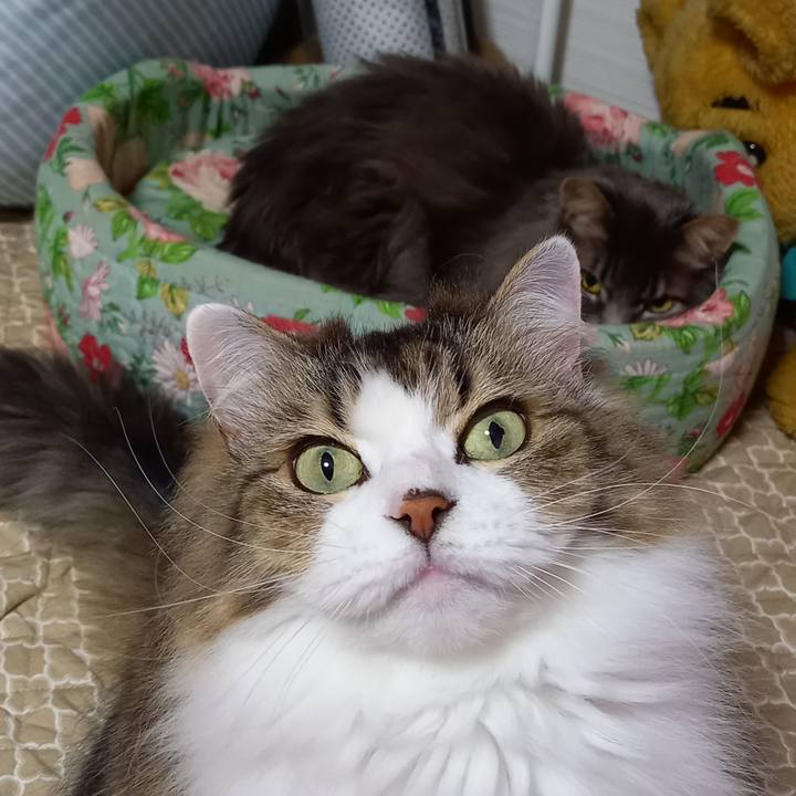 Bc3ba791 60c5 4c43 9248 9da8953a452c 1641849040569