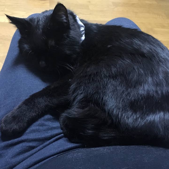 Bc3bb6c9 3a4f 465f 9eeb 26f7ad0f43c5 1544703273245