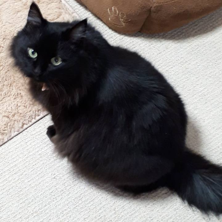 Bc3bc17e 91f8 4342 adc5 0c01ee47dc93 1521103100960