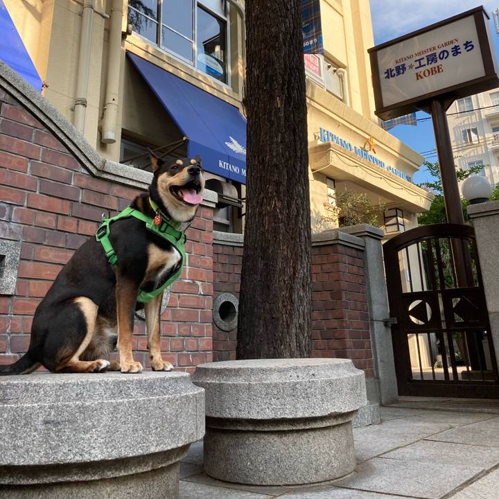 Bc3bcfaf 3aa5 4e2d 9190 246328b68a3a 1592965844197