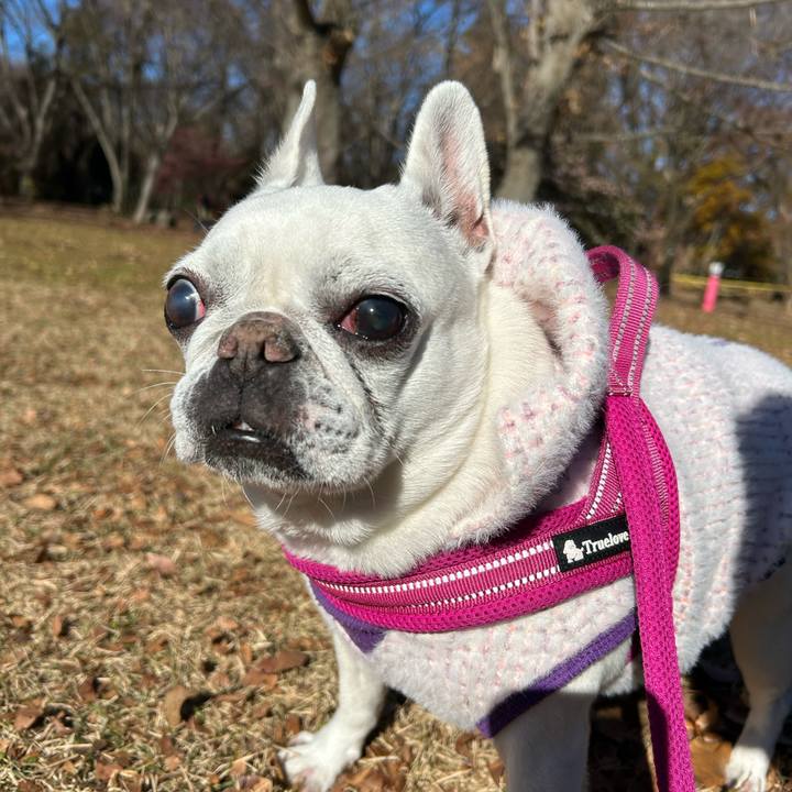 Bc3be094 6c90 4d23 b03b a5957d57d3a1 1734959526173