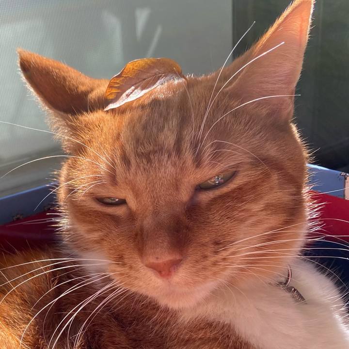 Bc3be8d3 6216 4752 9163 21f4c183df05 1636193987561