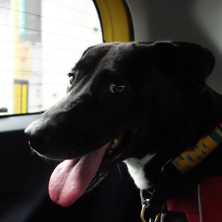 Bc3bfca5 d72b 4c1f b58e ee47cc49a59b 1595411859235