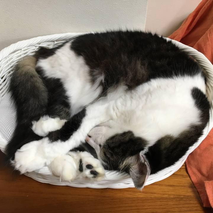 Bc3bfd01 98ce 46c8 80a3 a4afef10777e 1555211098684