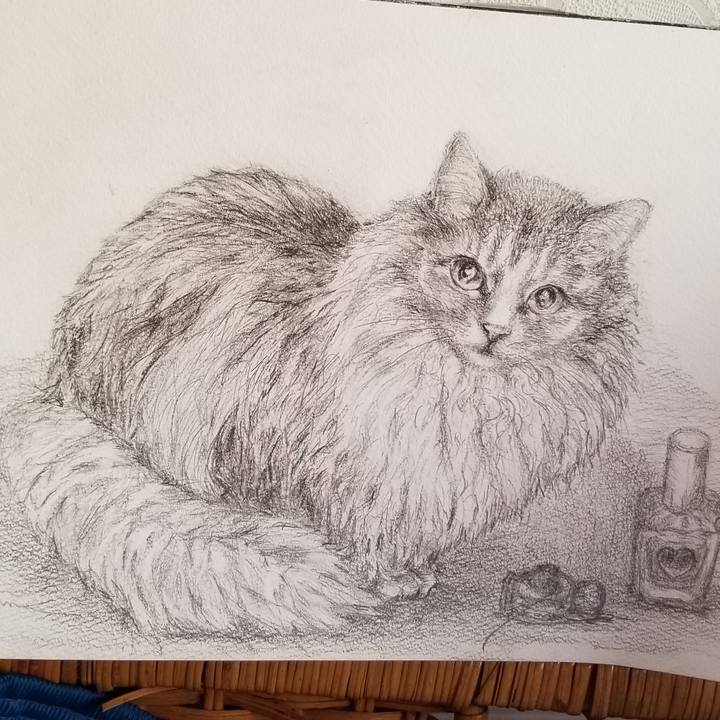 Bc3c0a95 f365 449f 83a9 f44fb95931ba 1589272887879