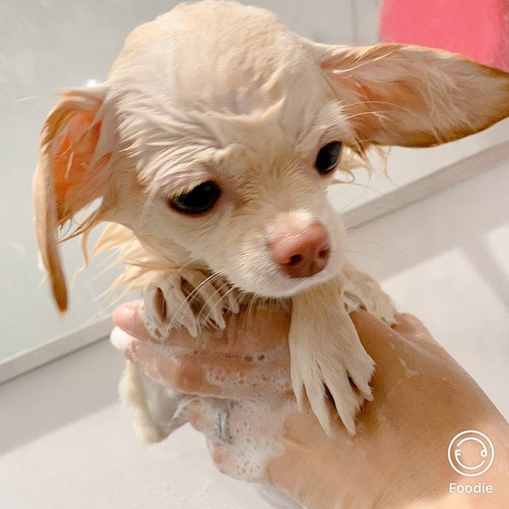 Bc3c2391 3ddd 4a6e 8979 e8a1b0c15a5e 1608028440282