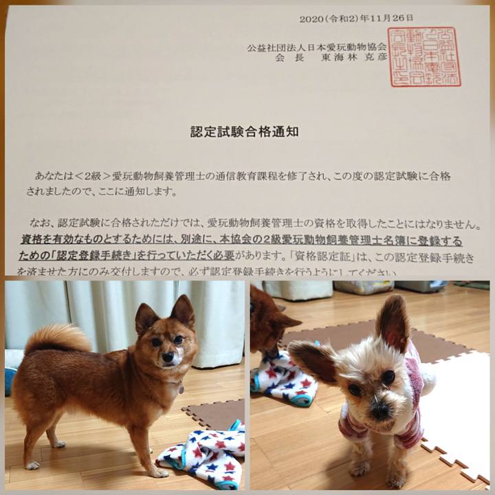 Bc3c2bfc ce5b 4a41 a0a2 9c094784f463 1607340236830