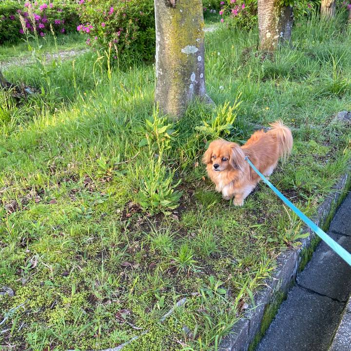 Bc3c550a 6e63 4c8c a23f e6bc70a14f60 1618781740271