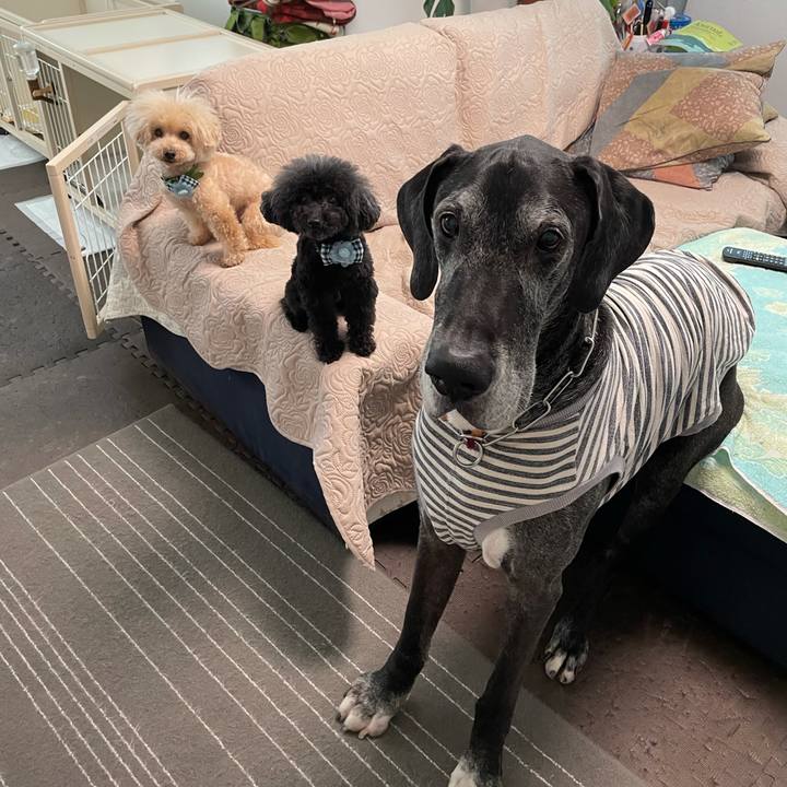 Bc3c728d 6b42 46d0 8253 85be198ee9a9 1620599724900