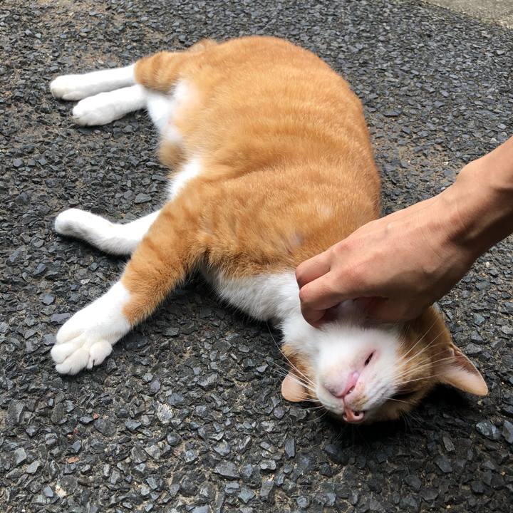 Bc3c9813 a399 4644 a5cb d7fb81335301 1599979078919