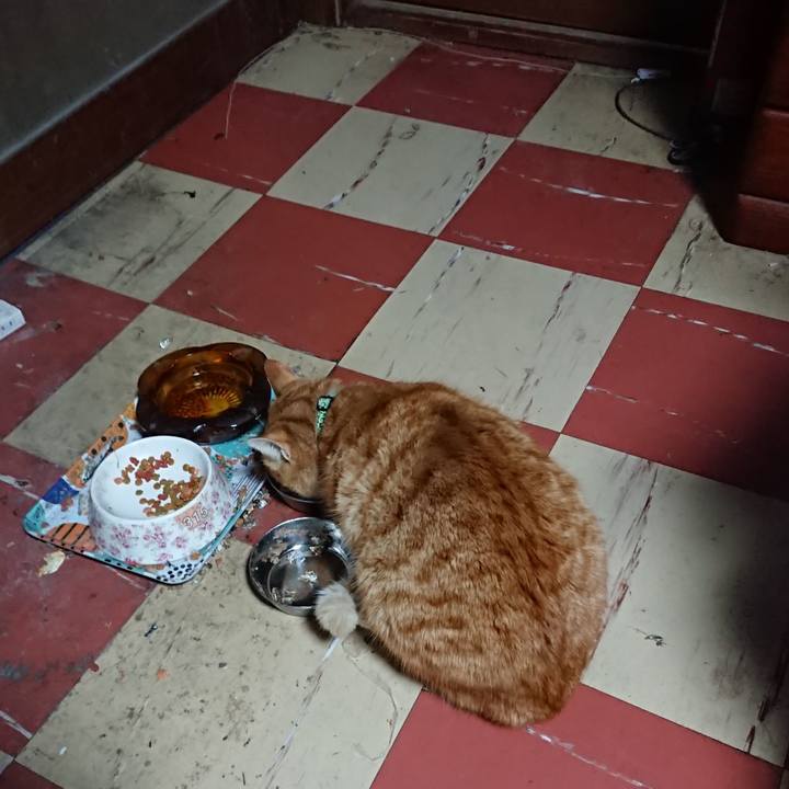 Bc3cbb1e a5f3 4817 aada f9779541ec60 1581969931589