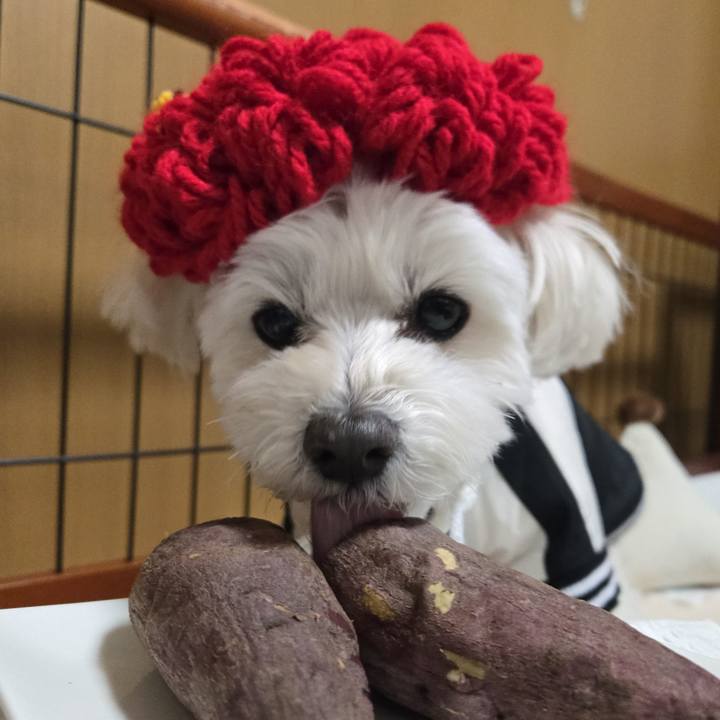 Bc3d167f 6142 44cb 893f d2db61880bad 1770107005605