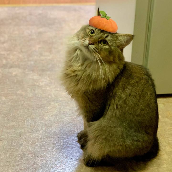 Bc3d72c1 66e3 4dce b322 e21afe70a02b 1756609776916