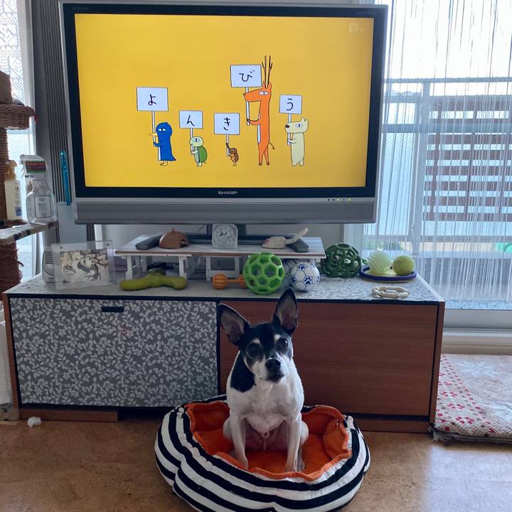 Bc3d8278 c147 47fe 8e98 1a4fb0909f7d 1574978212396