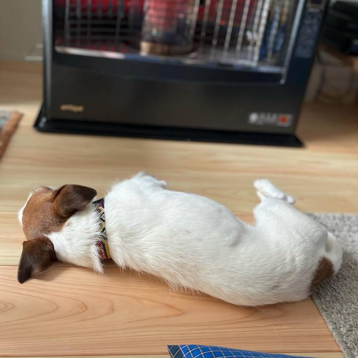 Bc3d87d4 91bf 40c6 bc28 b9560f173fb3 1770182439200