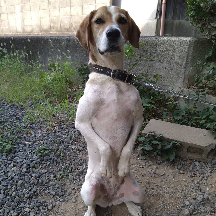 Bc3d947a a8e8 4710 8bfc 53e7dd70ddc3 1659433786934