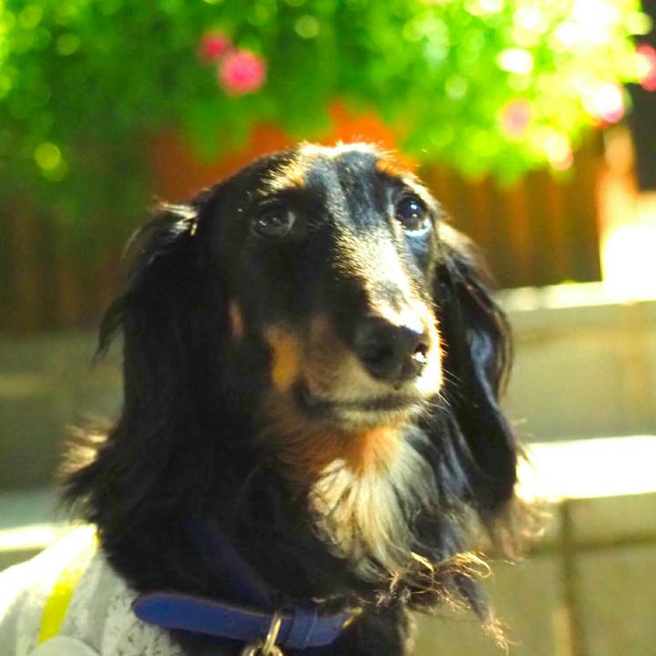 Bc3da669 9524 4aa1 9c87 03eb7af73a98 1597066809687