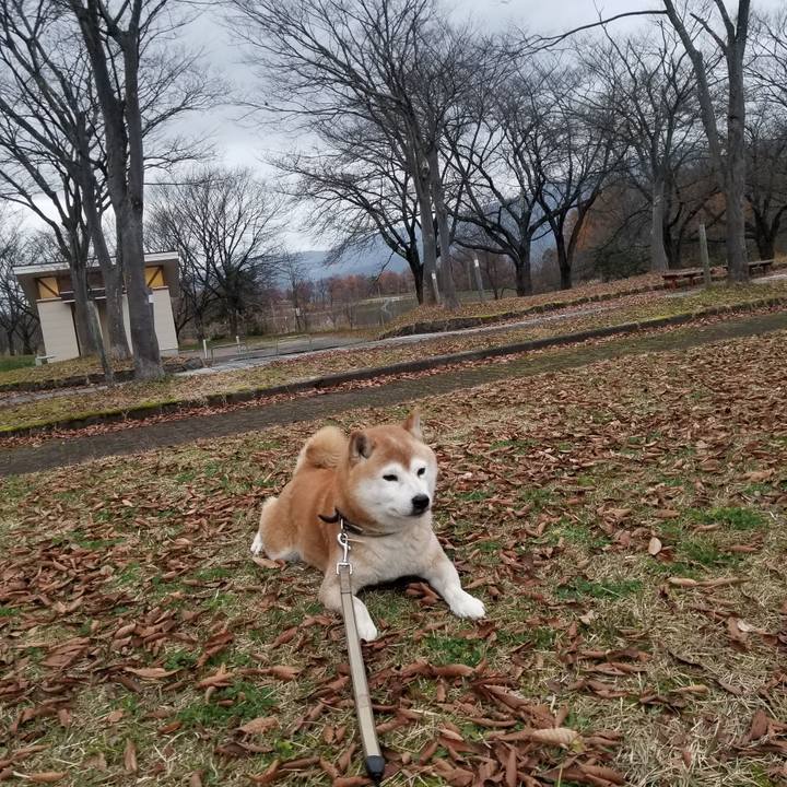 Bc3dbc13 b873 469e a83a 394f248a1df3 1669101822627