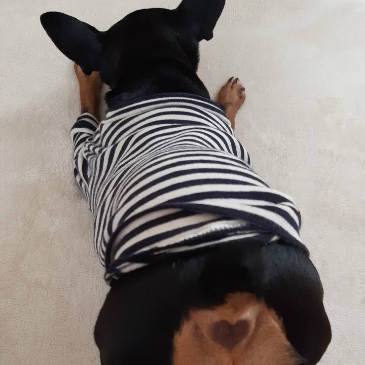 Bc3de6d7 9588 4601 ab1b b960953da4c8 1771033463352