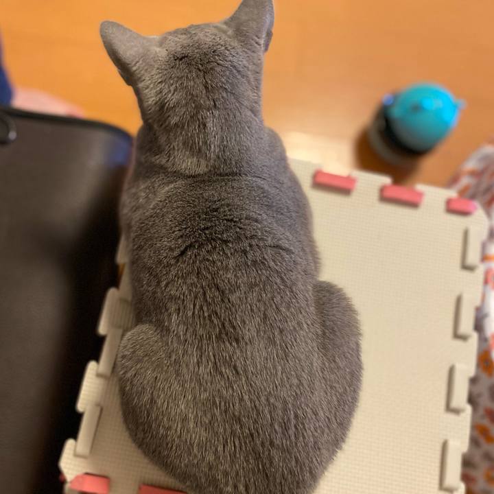 Bc3e0c62 0fb3 4ca1 879a b16c1a1e6604 1618464414044