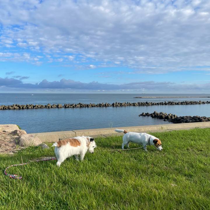 Bc3e496f 0a8e 4ecb 8059 67fc1e249f40 1726527503563