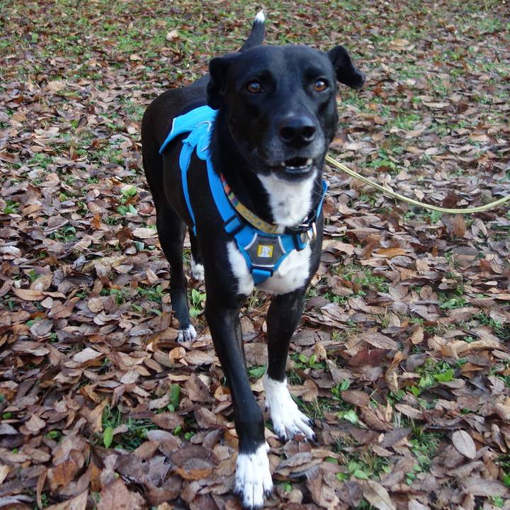 Bc3ef8a0 bbca 4fe6 ba1f c0b2bd95d82b 1607300873736