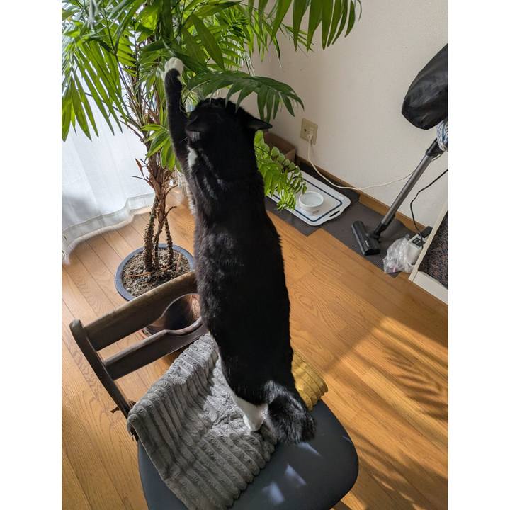 Bc3f035e a7a2 48b9 88bb a9ee3eae362b 1764650664015