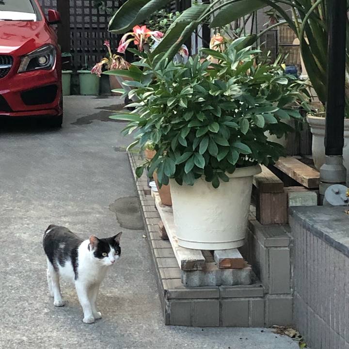 Bc3f0924 8bc9 46c8 a0cf e14cf6872486 1560601994629