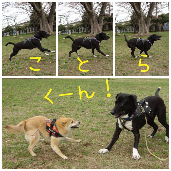 Bc3f0f5d 4cad 4c46 b296 09c5832b0303 1649292870012