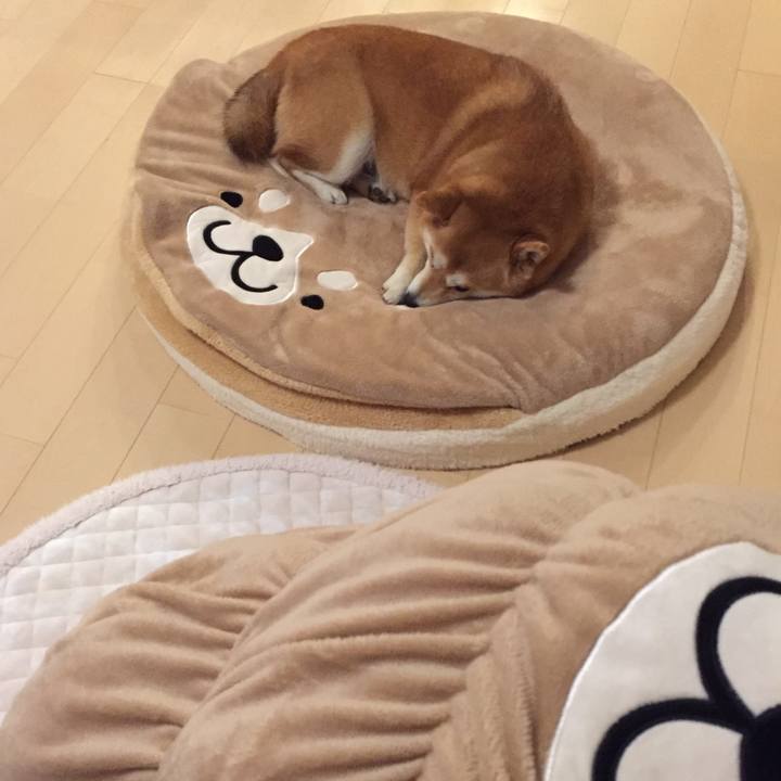 Bc3f3a5b c28e 453b aff6 89ac3905352c 1511177402717