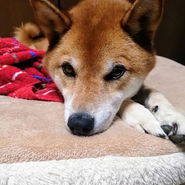 Bc3f4771 a165 49f6 b68b 80724722afe2 1627484161154