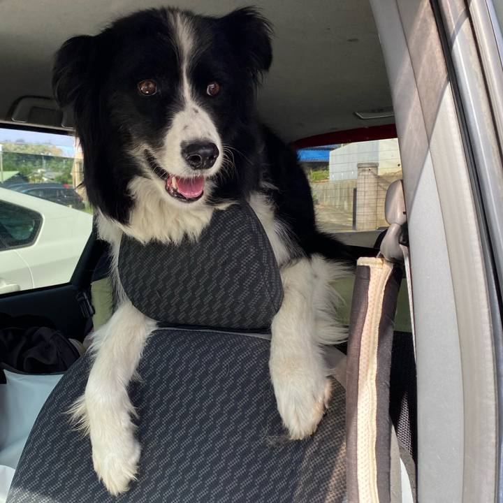 Bc3f562e 00f3 4e30 a78c 4b009b3a6cdc 1601271390027