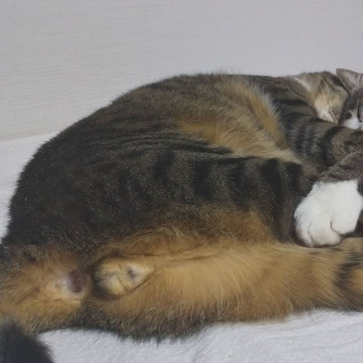 Bc3f76d6 661b 4f41 851a 2cb8f8b1faba 1650198572518