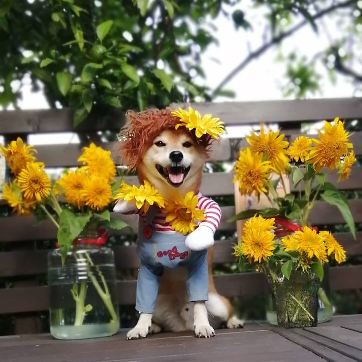 Bc3fbdad 9944 4265 ae08 6536a6aafa11 1693216988984