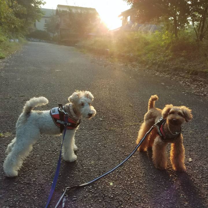 Bc3fe888 258a 4ecb aeab 0898a8d46f56 1507674522285