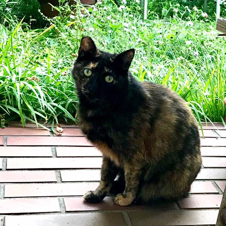 Bc3ffad0 0063 4abc 9611 6ecb2a0de09e 1560421403512