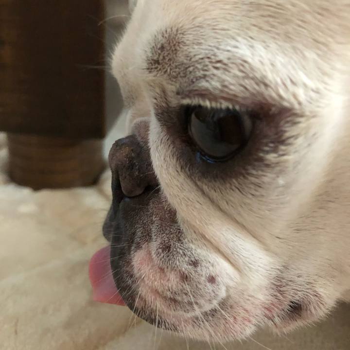 Bc40214a 24b8 432a a4dc f16eac378165 1563695445339