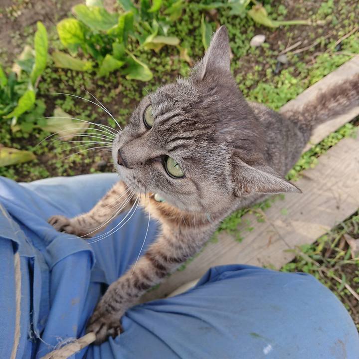 Bc402a19 e9a1 481b 9479 32dc8a1e0225 1572763803608