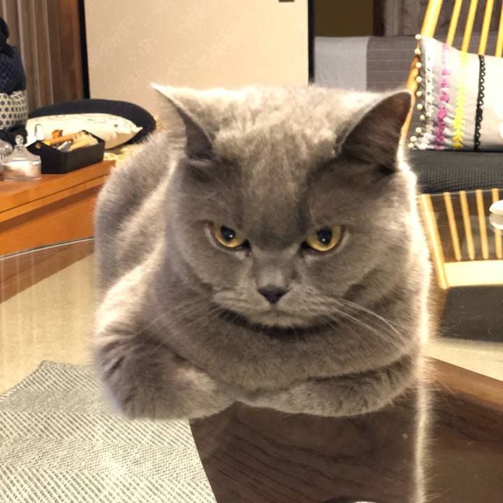 Bc405783 ef78 49b4 ab19 0d9161bcdc4c 1559389919851