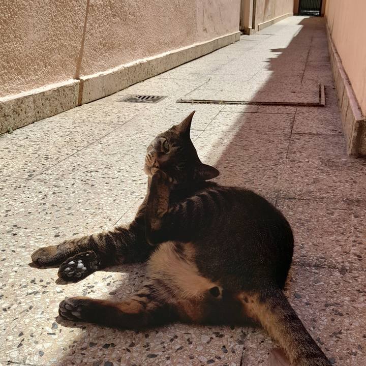 Bc4067b7 479e 4277 8681 4e218dfaf228 1760579213181