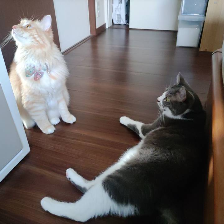 Bc40ebe5 0362 4718 8032 54202b036298 1658621308183