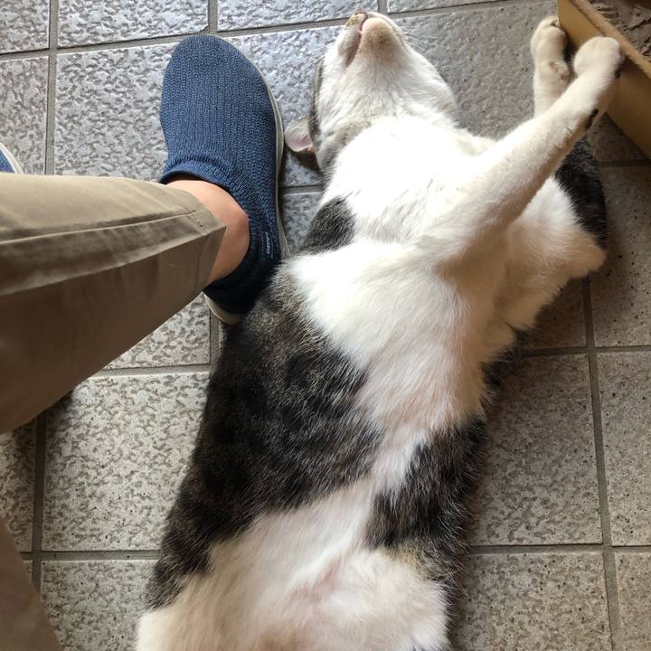 Bc414b84 8000 4b1c a5a7 e04eb8407133 1564541088779