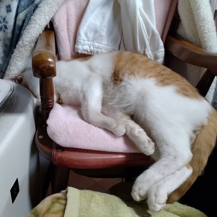 Bc418b45 148e 4159 8c24 4884de60ec44 1735367077962